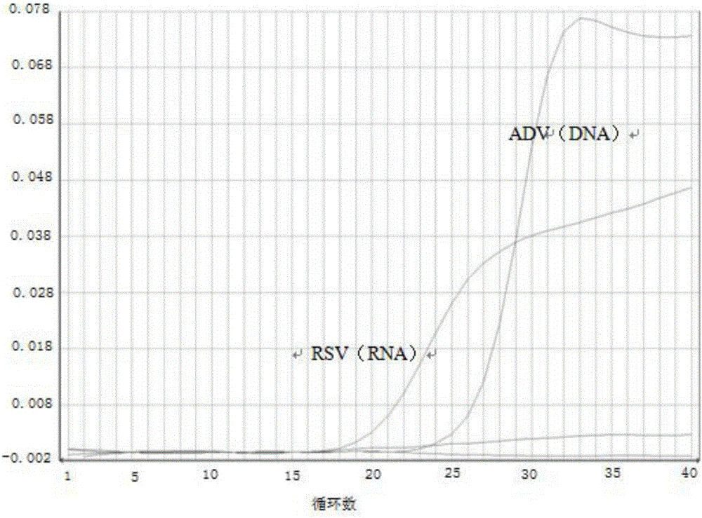 Method for co-extracting DNA/RNA (Deoxyribonucleic Acid/Ribonucleic Acid) virus nucleic acid