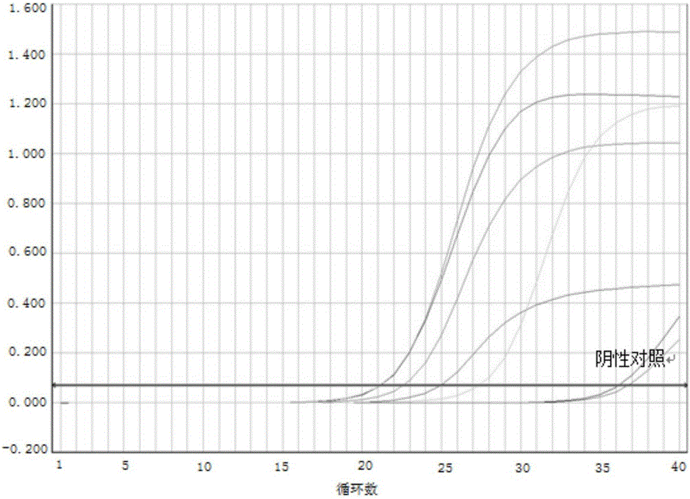 Method for co-extracting DNA/RNA (Deoxyribonucleic Acid/Ribonucleic Acid) virus nucleic acid