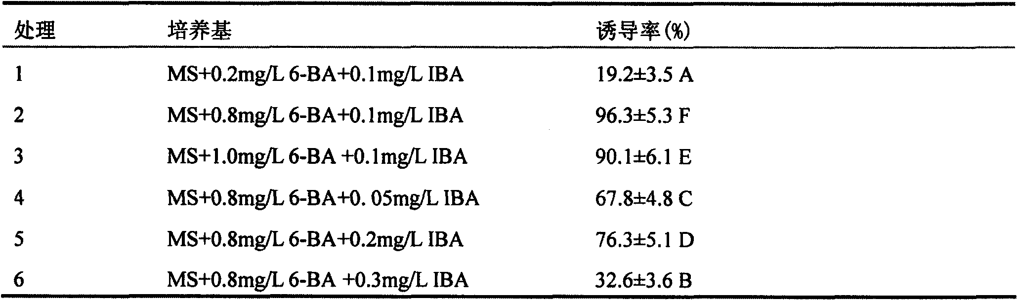 Tissue culture method for increasing multiplication coefficient of catalpa bungei