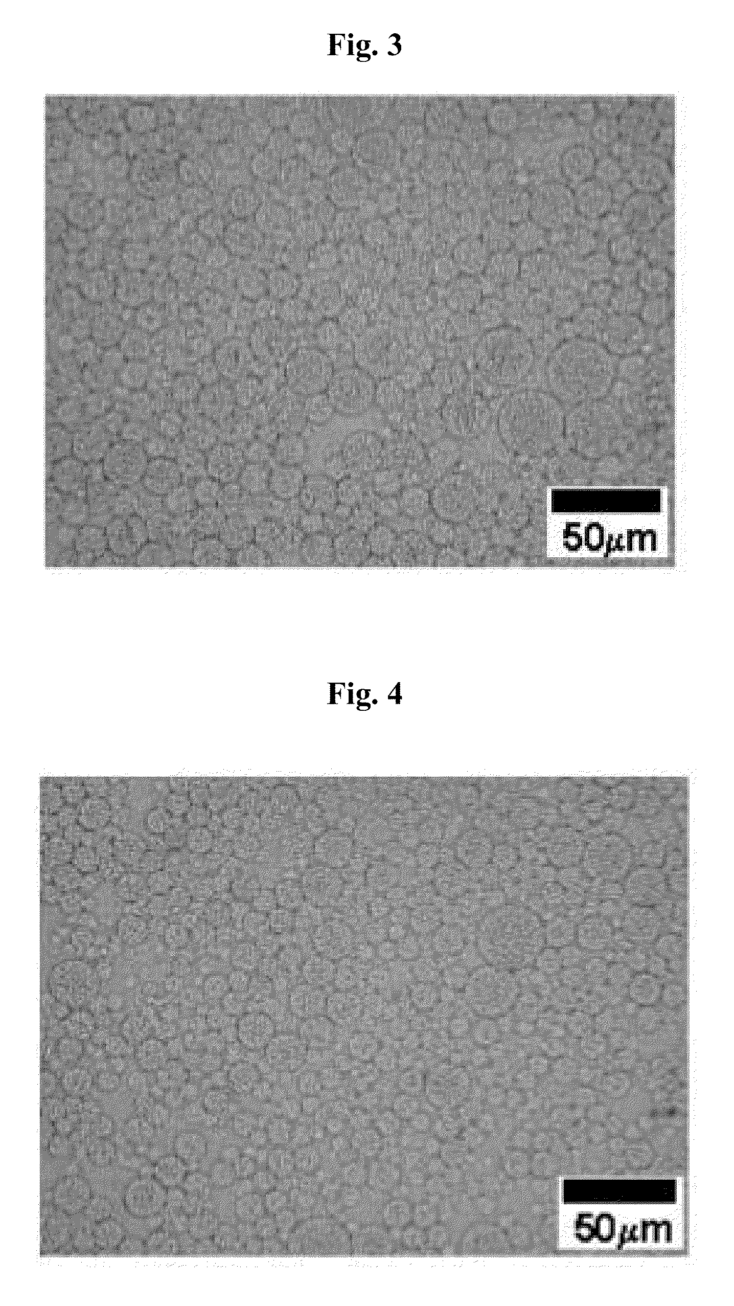 Stable Water-In-Oil-In-Water Multiple Emulsion System Produced By Hydrodynamic Dual Stabilization And A Method For Preparation Thereof