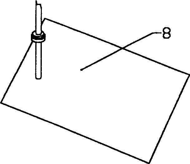 Multifunctional skull fixing frame