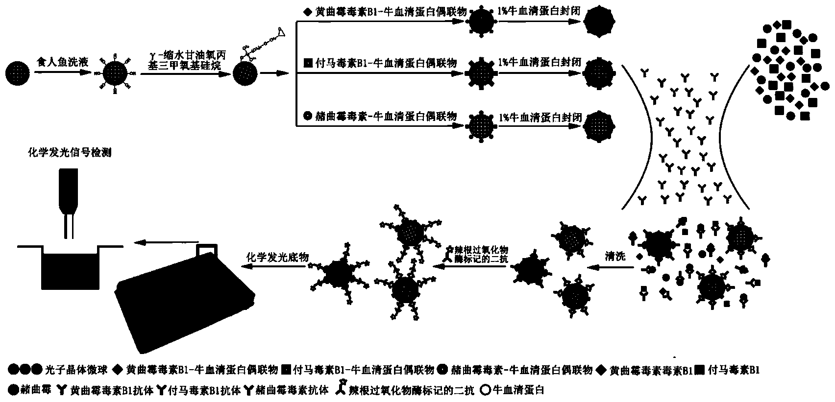 High sensitivity fungaltoxin multi-detection method by using photonic crystal micro-sphere liquid-phase chip chemiluminiscence method