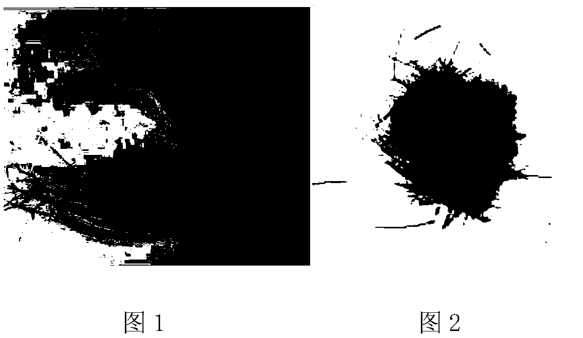 Natural plant hair care and dyeing agent based on biological cross-linking effect