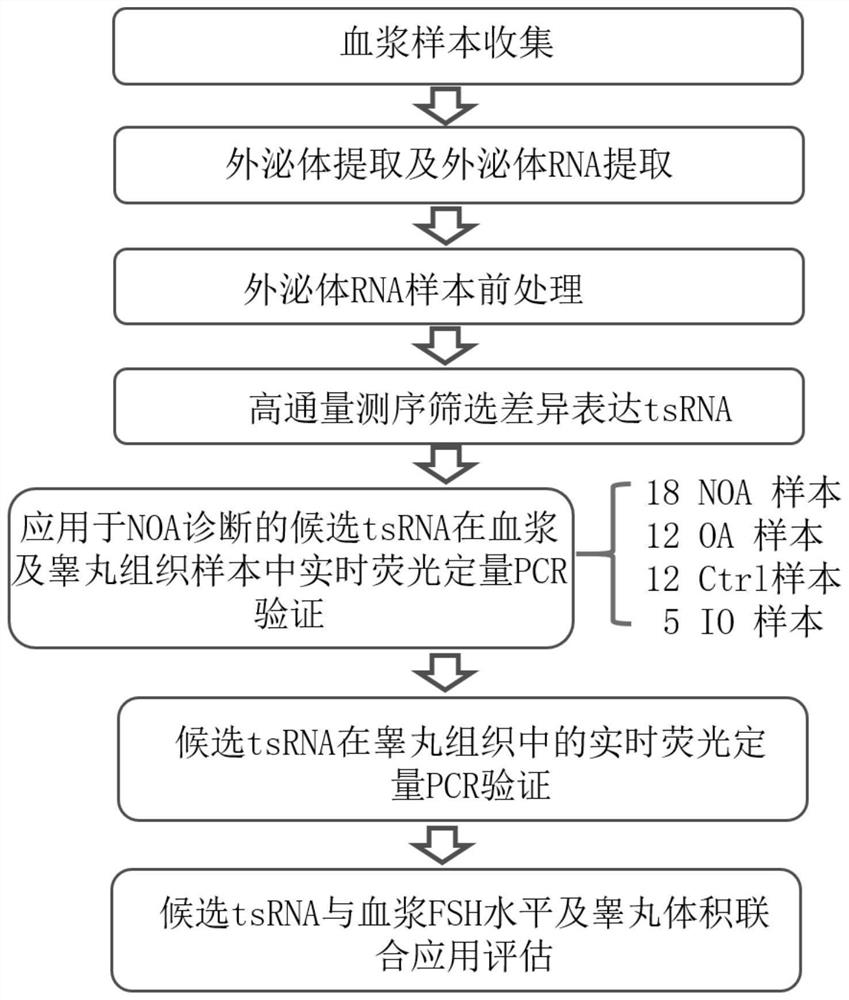 Plasma exosome tsRNA marker related to non-obstructive azoospermia diagnosis and application thereof