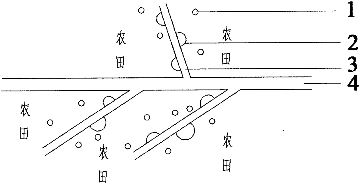 Method for treating rural rivers through multi-stage ecological pond