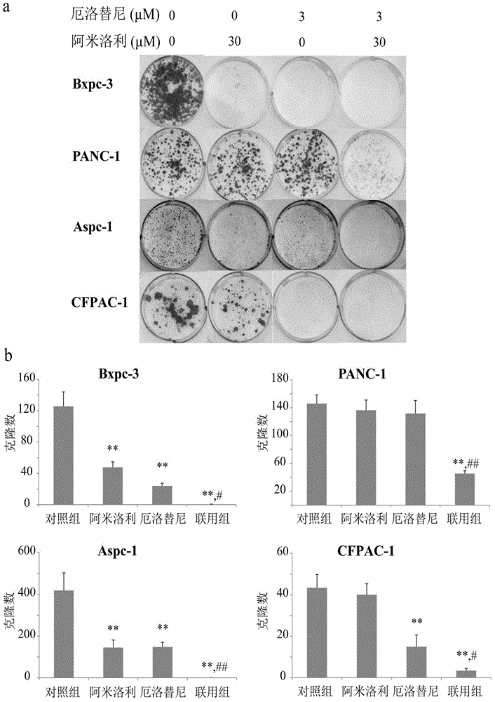 Anti-pancreas cancer pharmaceutical composition, its application, pill case and package