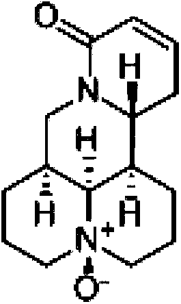Salt of oxysophorcarpine derivative