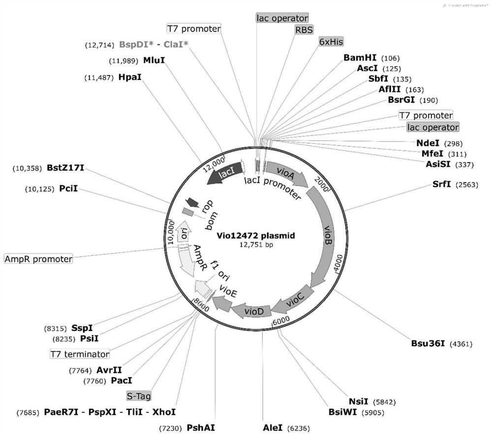 Genetically modified purple bacteriocin biosynthesis gene cluster, recombinant expression vector, engineered bacteria and their applications