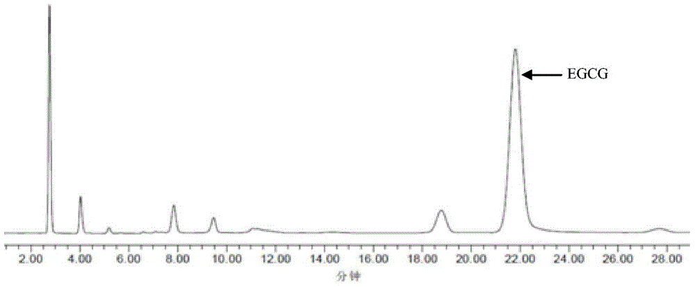 Phosphate-modified porous starch quantitative embedding tea polyphenol compound and preparation method and application thereof