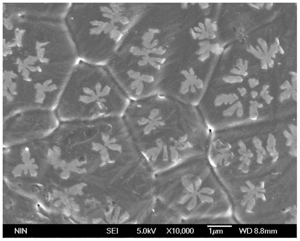 Titanium or titanium alloy spherical powder with rare earth oxide distributed on the surface and preparation method thereof