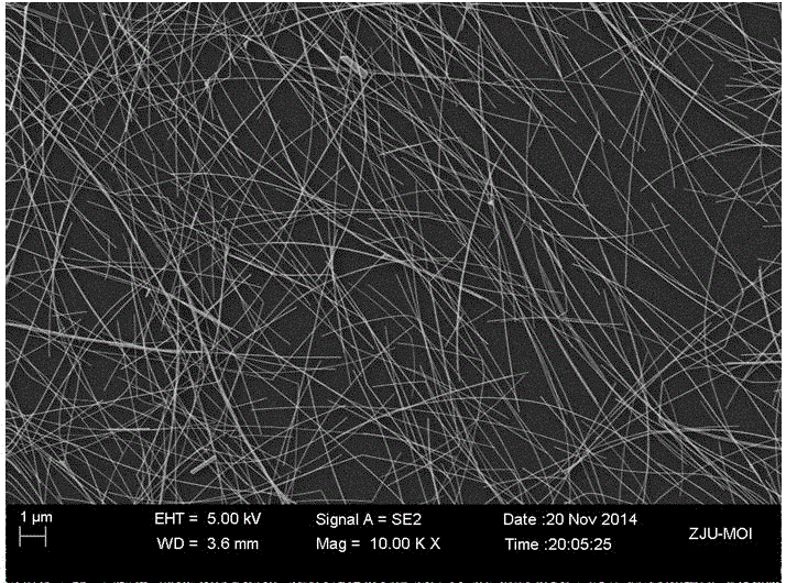 Method for preparing silver nanowire transparent electrode in large area and silver nanowire transparent electrode