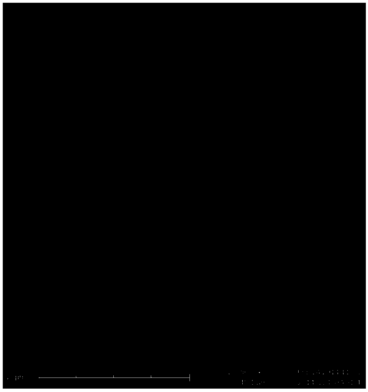 Method for preparing porous metal with mixed gas