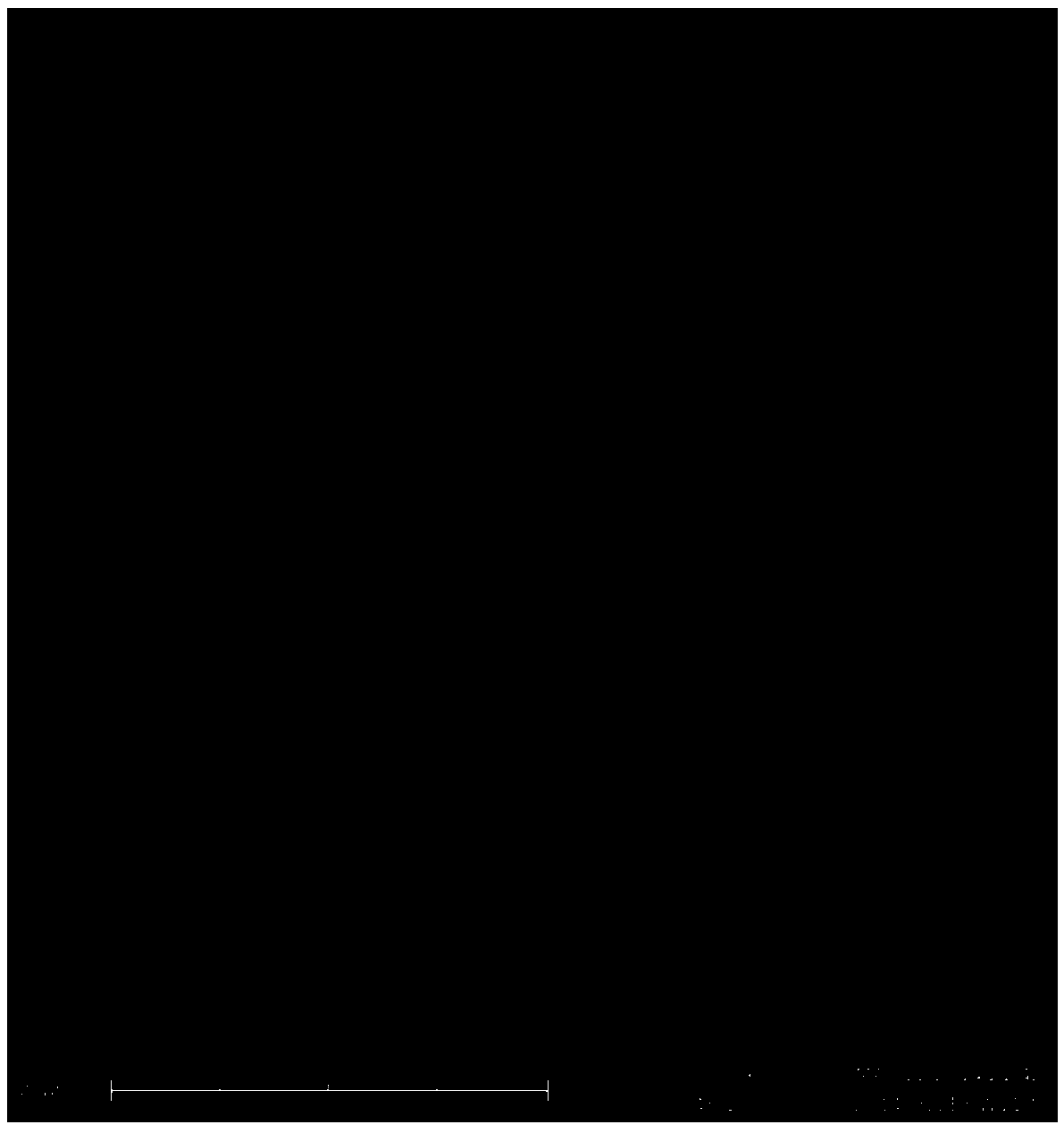 Method for preparing porous metal with mixed gas