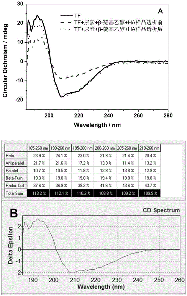 Preparation method of hypocrellin-transferrin targeted drug delivery system and application of hypocrellin-transferrin targeted drug delivery system in photodynamic therapy