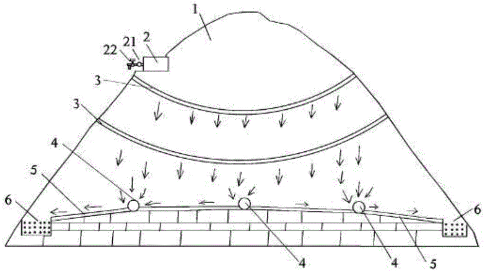 A kind of ion adsorption type rare earth in-situ leaching method and its leaching system