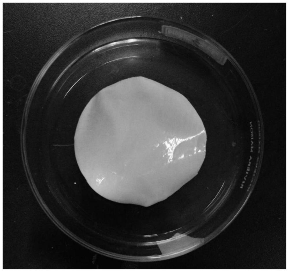 Preparation method and regeneration method of renewable polyelectrolyte membrane for forward osmosis technology