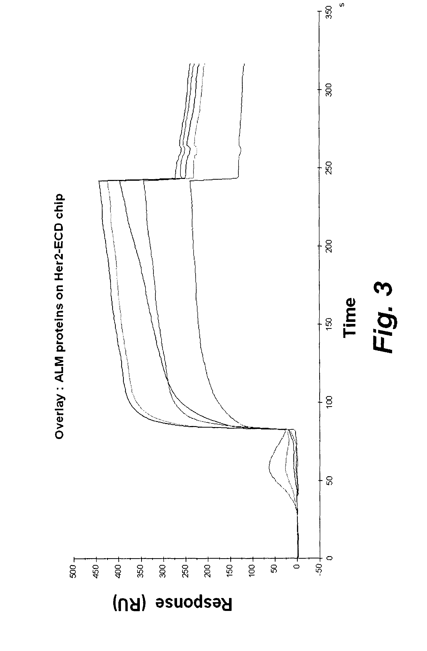 Anti-egfr family antibodies, bispecific Anti-egfr family antibodies and methods of use thereof