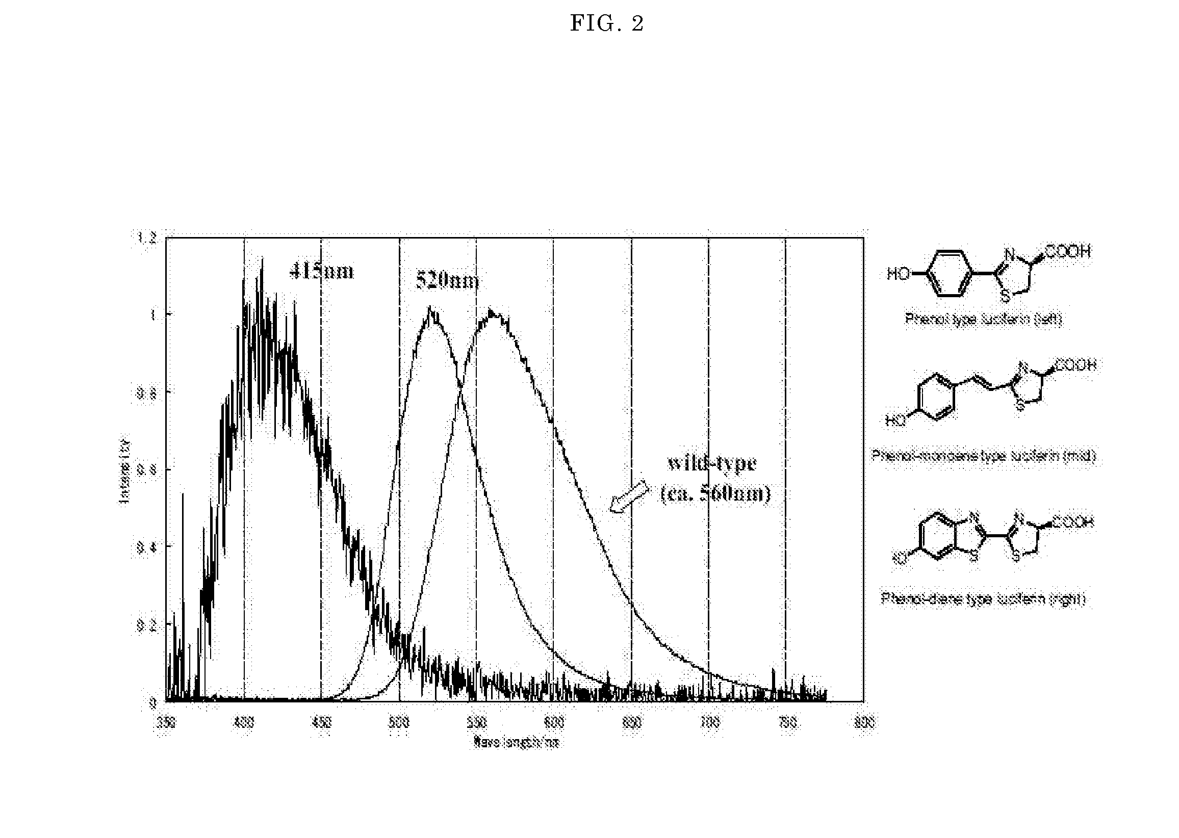 Luminescent substrate for liciferase