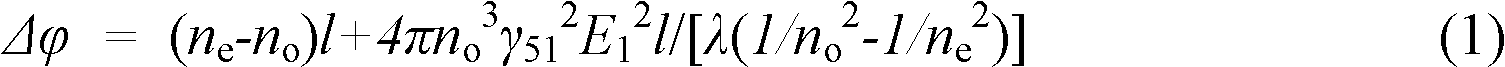 Electro-optic modulator based on gamma 51 and realization method