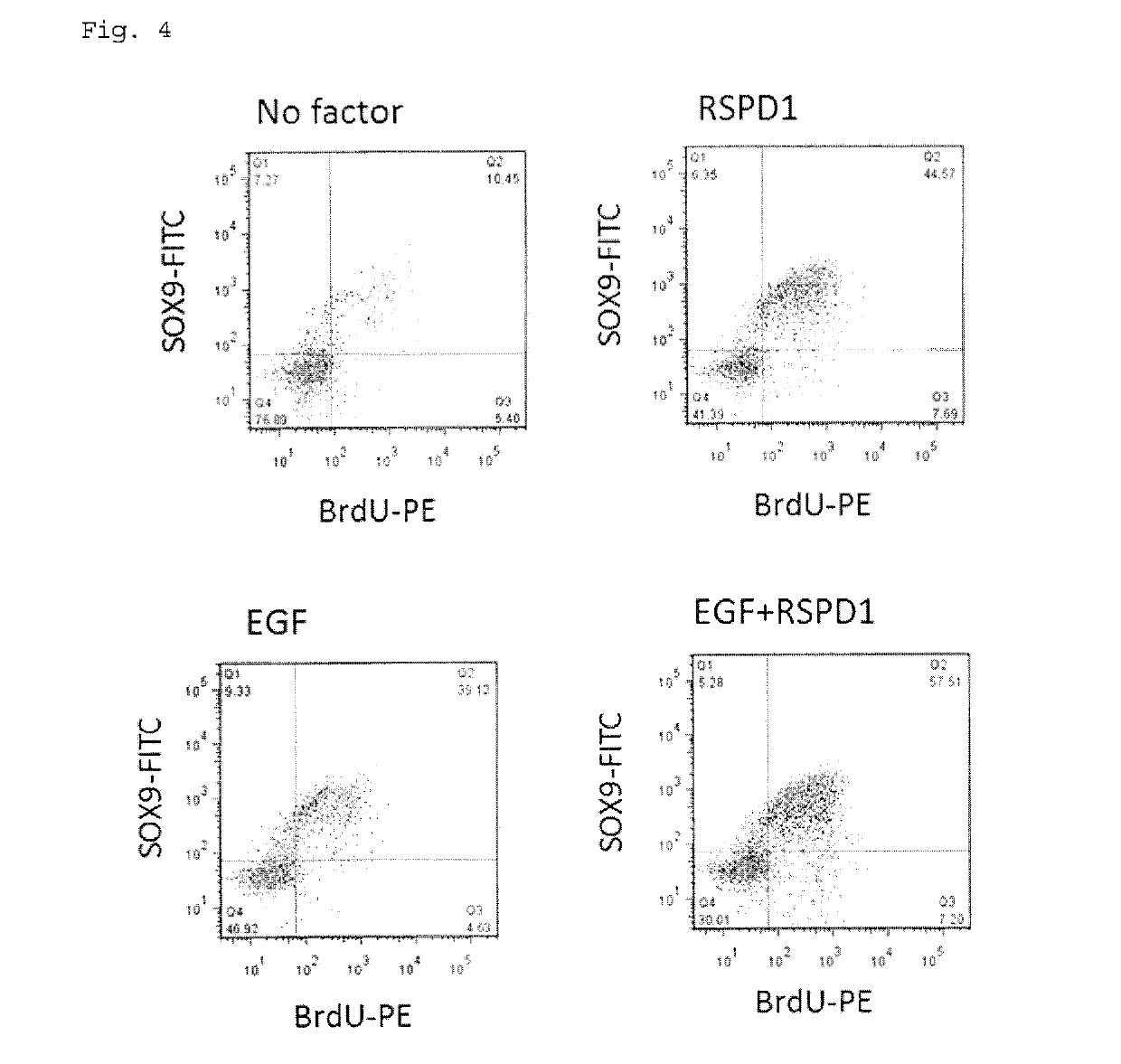 Purification method for pancreatic precursor cells derived from pluripotent stem cells and amplification method therefor