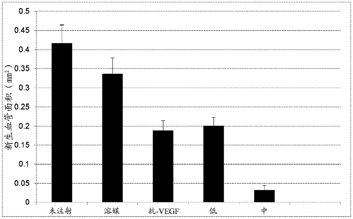 Treatment of retinal vascular disease using progenitor cells