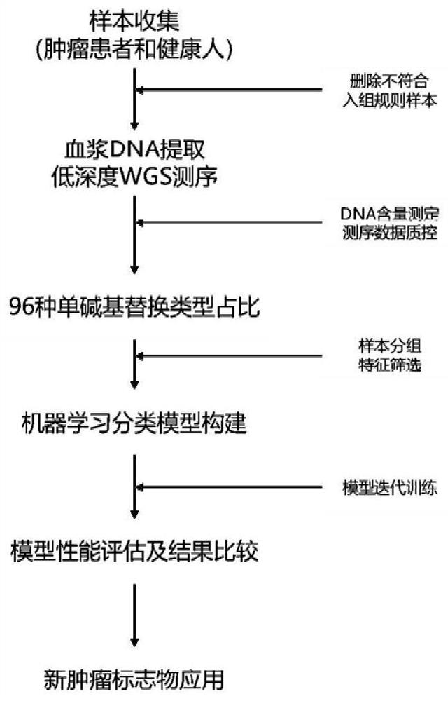 Tumor marker screening method based on single base substitution characteristic and application