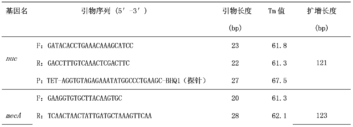 Triple real-time fluorescent PCR (polymerase chain reaction) detection primer, detection probe, detection kit and detection method for methicillin-resistant staphylococcus aureus