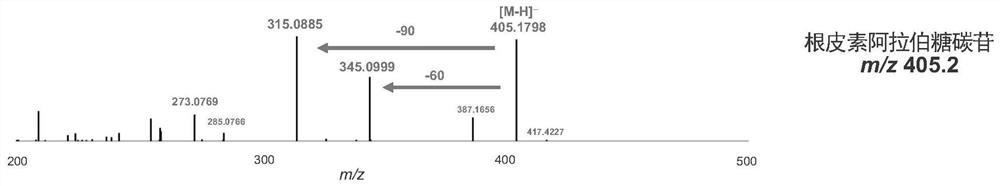 Difunctional C-glycoside glycosyltransferase and application thereof