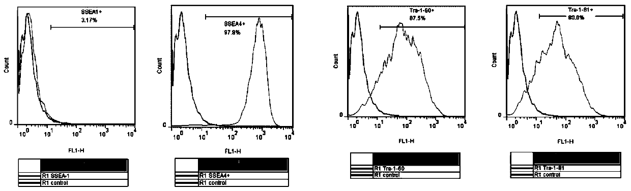 A culture medium for maintaining the pluripotency of human amniotic epithelial stem cells