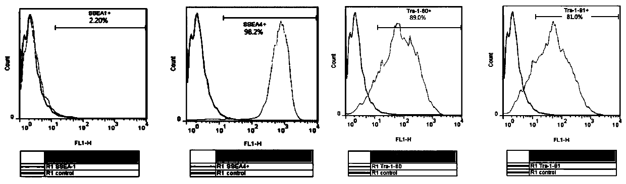 A culture medium for maintaining the pluripotency of human amniotic epithelial stem cells