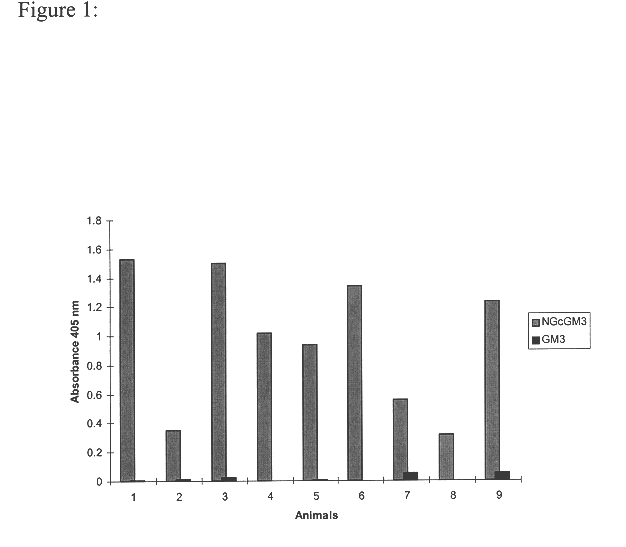 Monoclonal antibody which recognizes the oligosaccharide N-glycolylated-galactose-glucose sialic acid in malignant tumors, and composition containing it