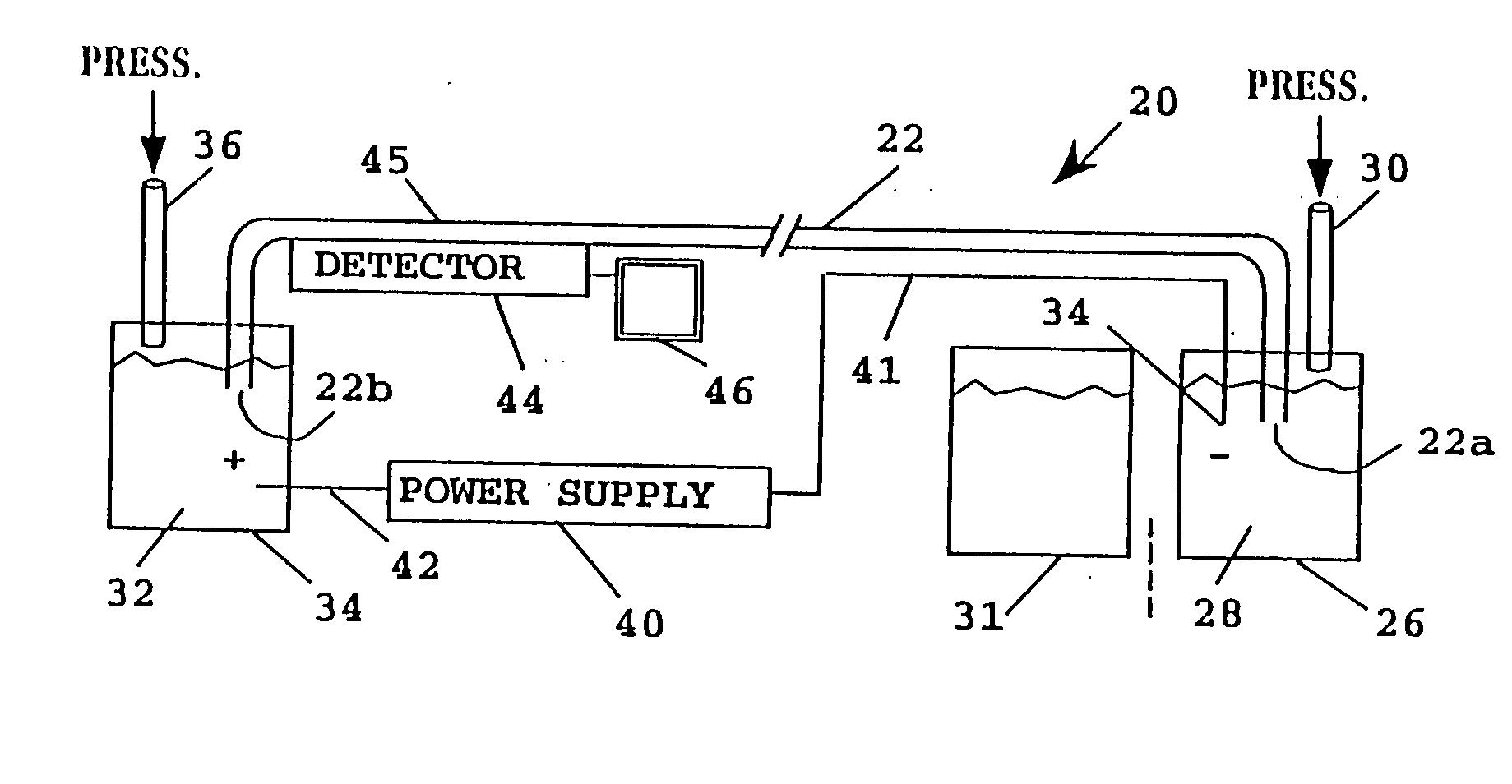 Polymers for separation of biomolecules by capillary electrophoresis