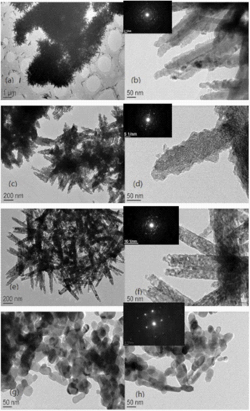 Method for synthesizing three-dimensional porous ferric oxide nano rod cluster