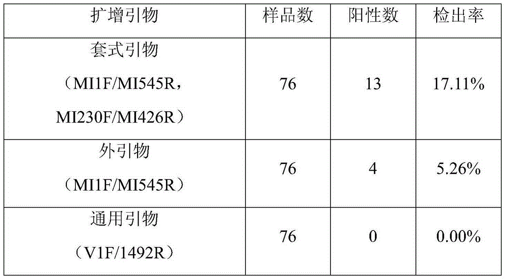 Nested primer for early warning of cultured and wild Portunus trituberculatus microsporidium infection, and application thereof