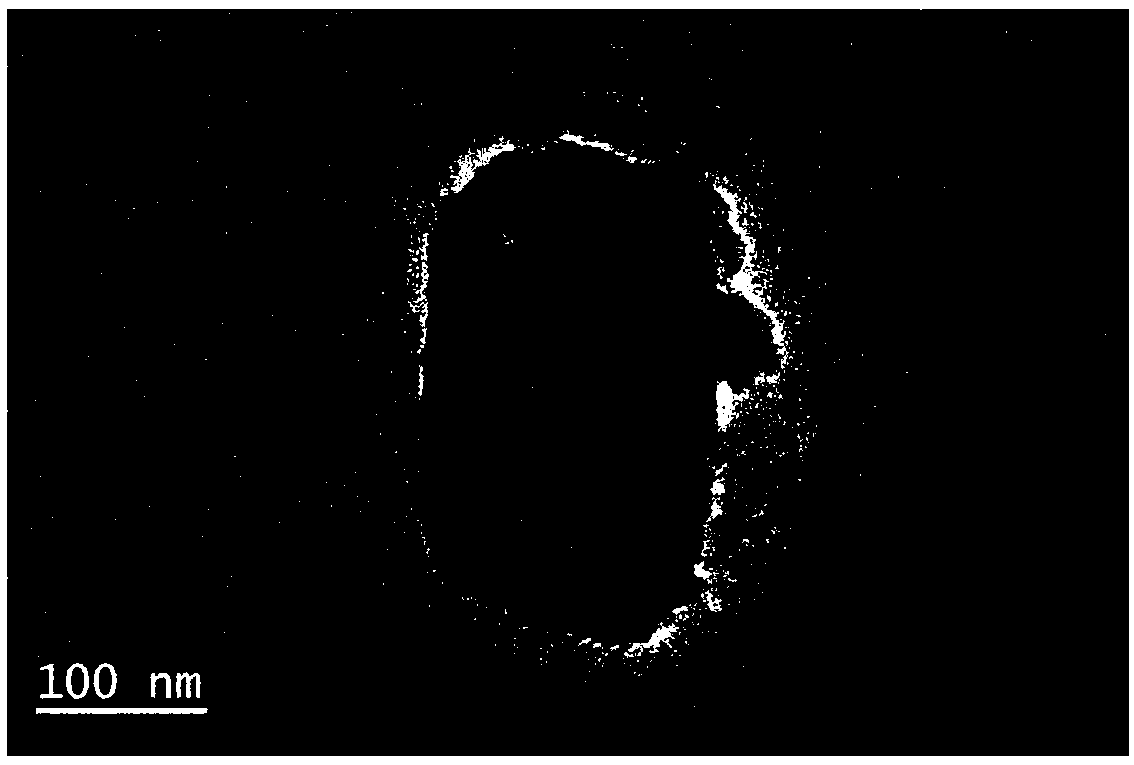 Micro-nano type hollow-structured double-metal catalyst and preparation method and application thereof