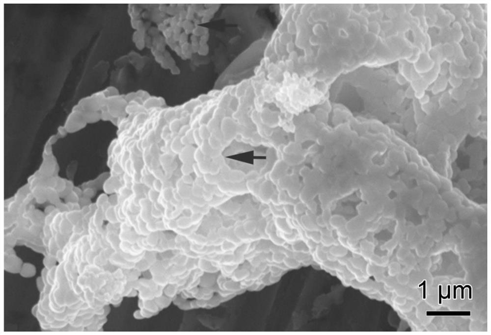 A method based on first-principles computational design to confine metal oxide agglomeration by low-valent metal ion doping