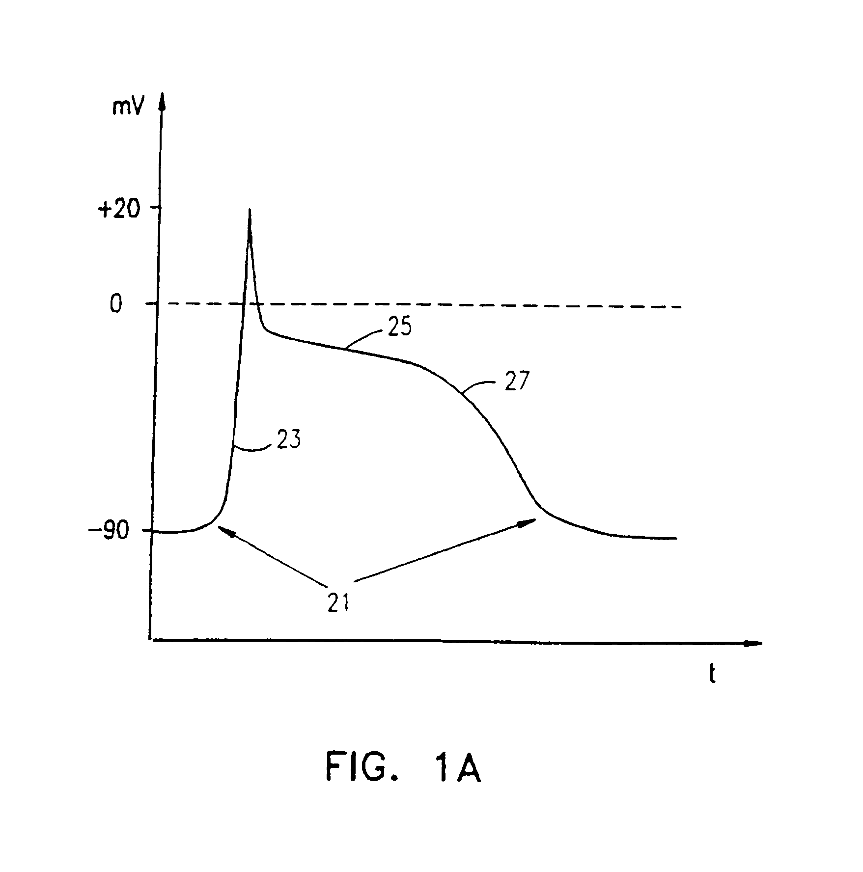 Electrical muscle controller