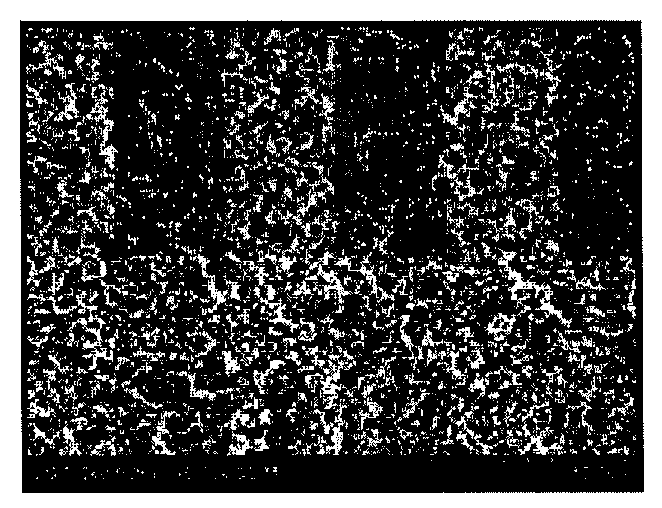 Method For Manufacturing Separator, Separator Manufactured By The Method And Method For Manufacturing Electrochemical Device Including The Separator