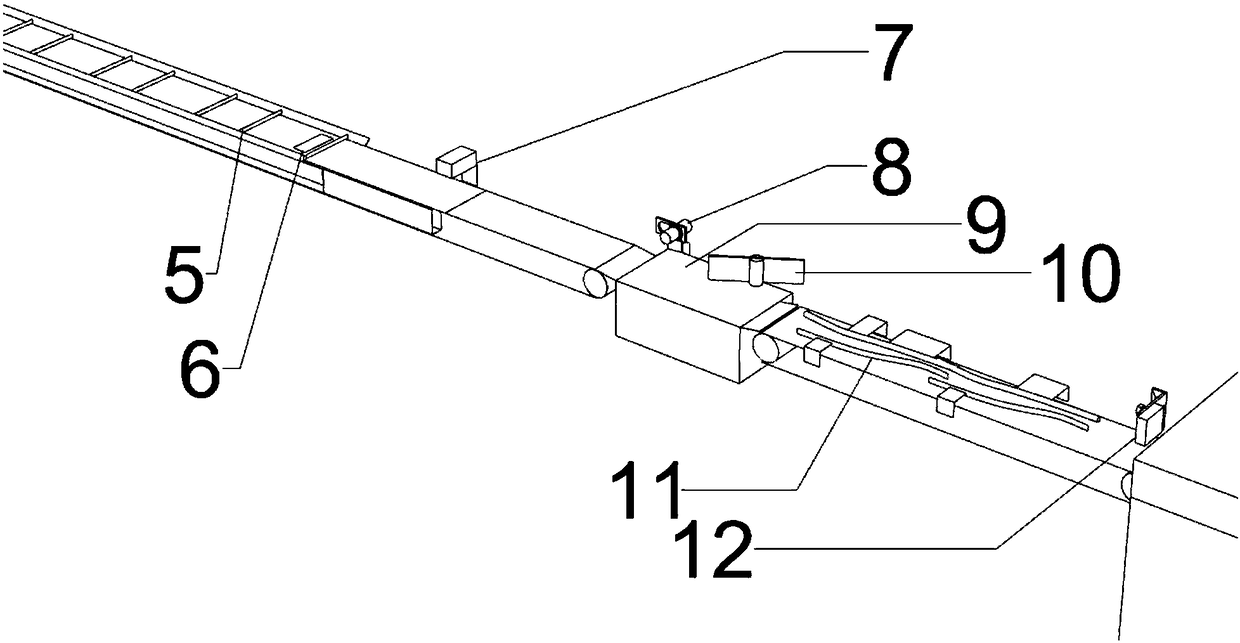 A weighing and marking device for individual poultry eggs based on a conveyor belt