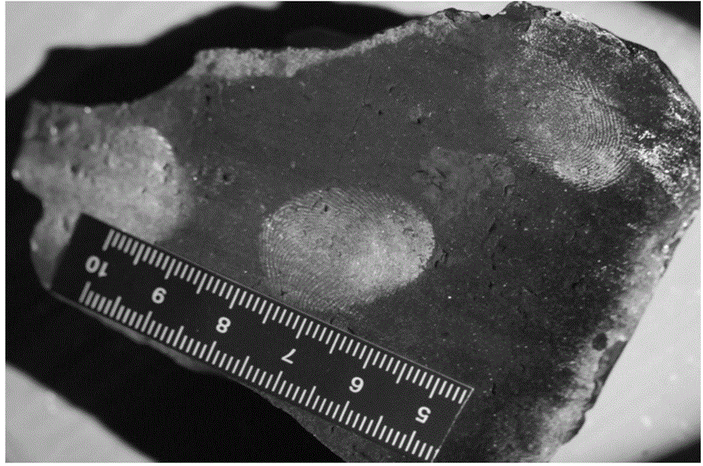 Fingerprint showing method for permeable object with crude surface