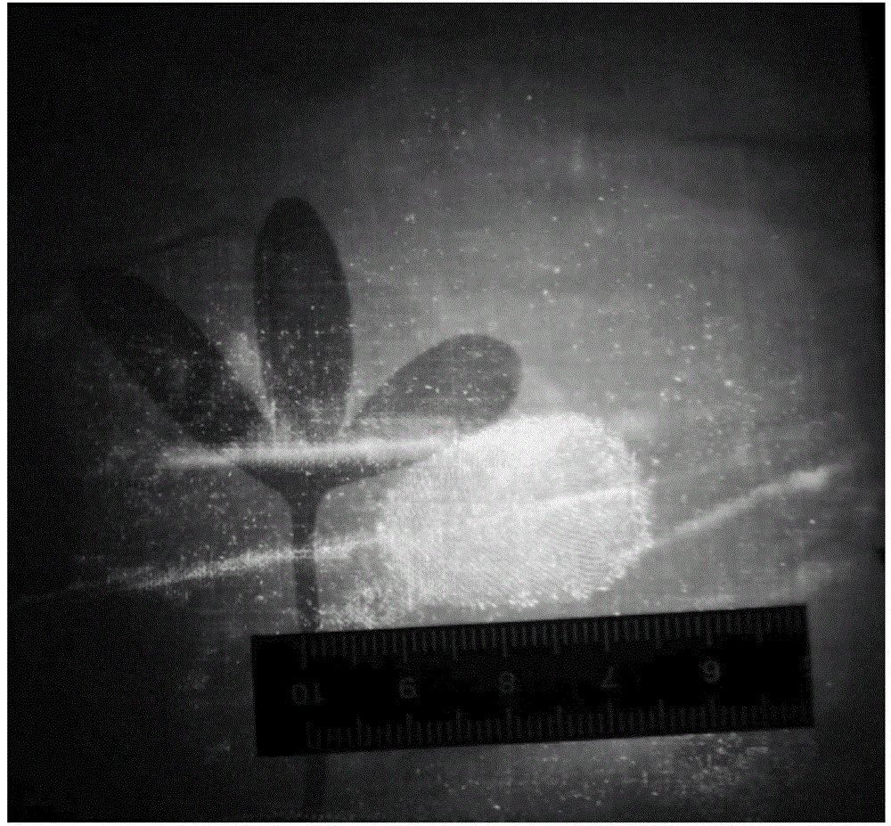 Fingerprint showing method for permeable object with crude surface