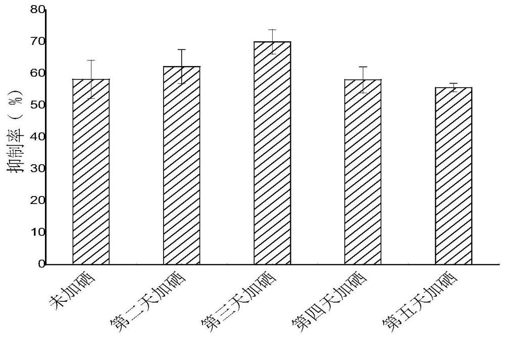 Method for small-scale production of selenium-rich lyophyllum decastes mycelium and application