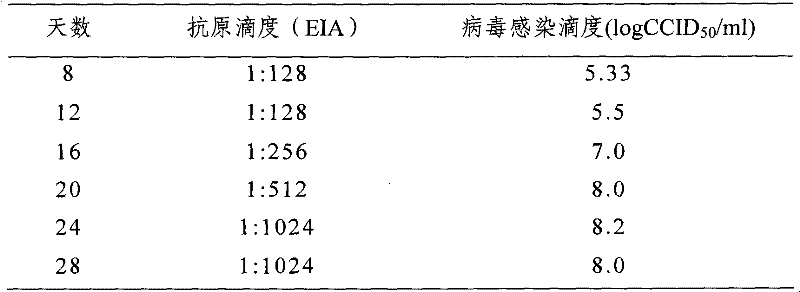 Hepatitis A virus strain SH and diploid cell adaptation method thereof