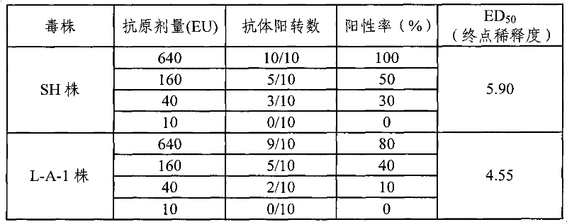 Hepatitis A virus strain SH and diploid cell adaptation method thereof