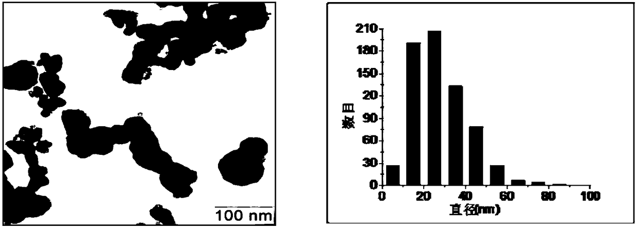 Method for cultivation of plants using metal nanoparticles and nutrient medium for its implementation