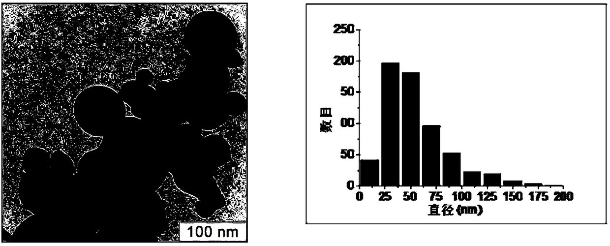 Method for cultivation of plants using metal nanoparticles and nutrient medium for its implementation