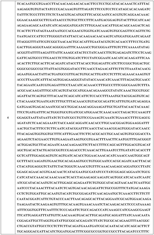 Novel coronavirus vaccine and application thereof