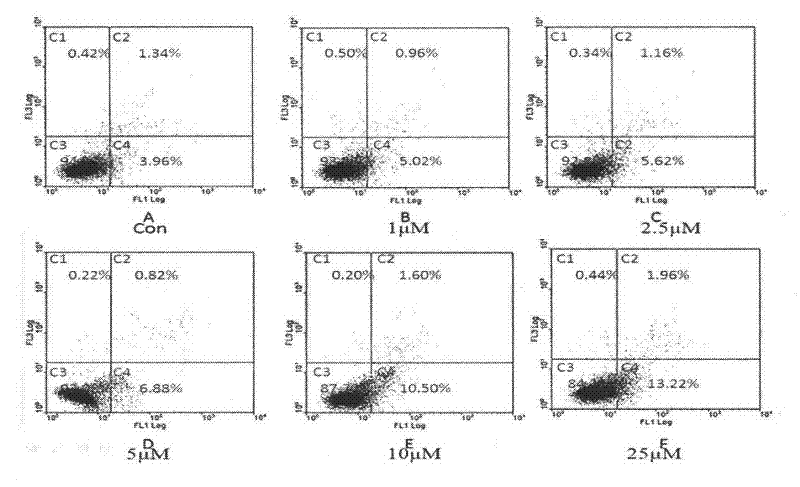 Application of ligustrazine derivant in preparing medicine for treating hepatic fibrosis