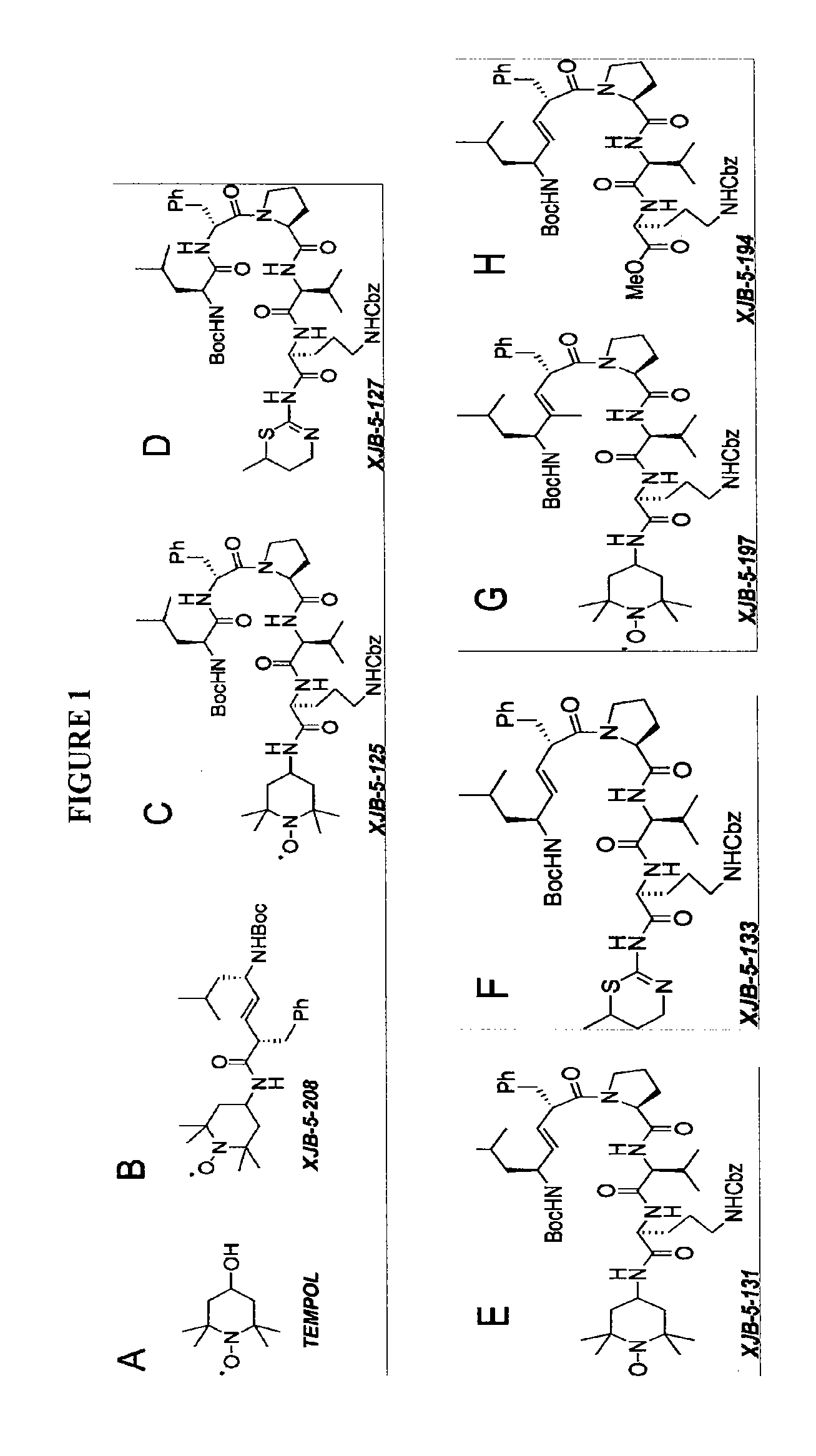 Selective targeting agents for mitochondria