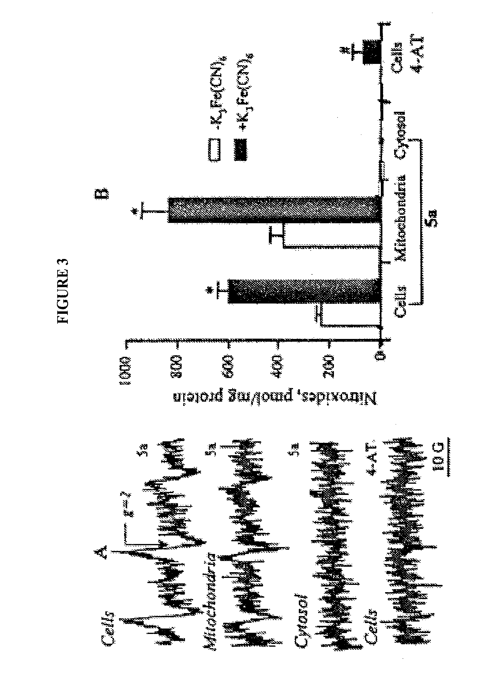 Selective targeting agents for mitochondria